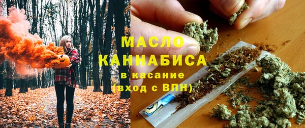 спиды Пересвет